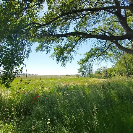 Canal View * אלקמאר