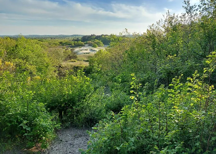 Canal View * Alkmaar