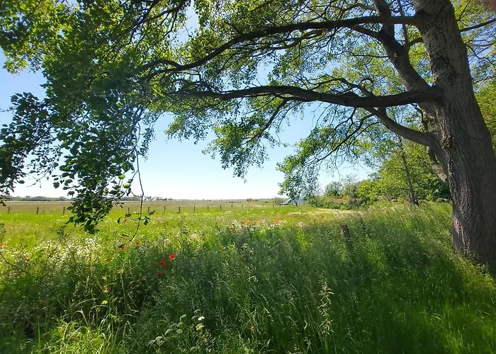 Canal View * Alkmaar